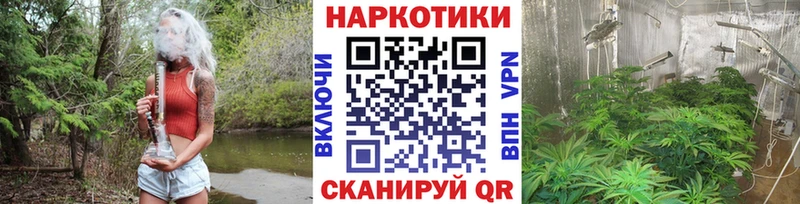 Купить Жуков ГАШИШ  Бошки Шишки  mega онион  Меф мяу мяу  Кокаин 