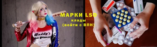 шишки Медногорск