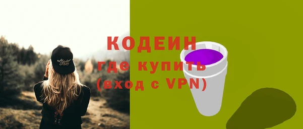 шишки Медногорск