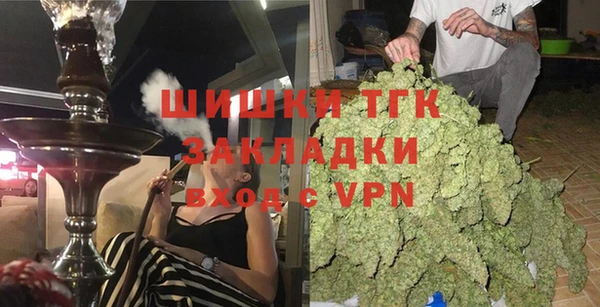 шишки Медногорск