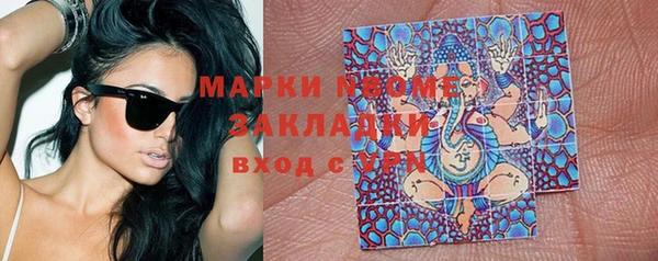 шишки Медногорск