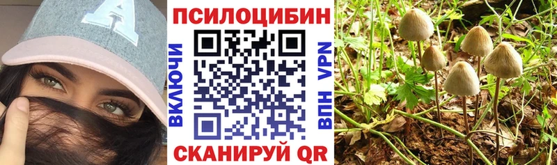 Галлюциногенные грибы мицелий  нарко площадка какой сайт  Жуков 