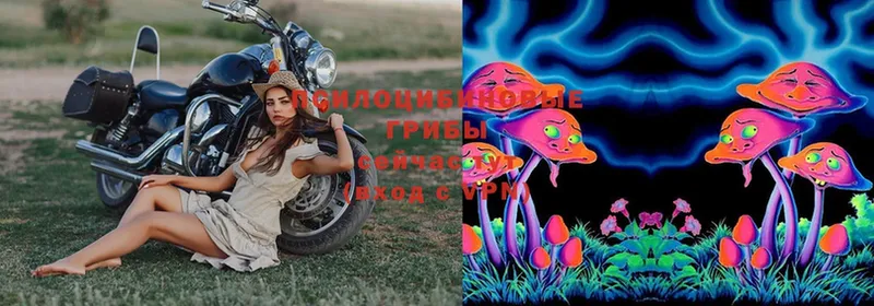 Псилоцибиновые грибы MAGIC MUSHROOMS  что такое наркотик  Жуков 